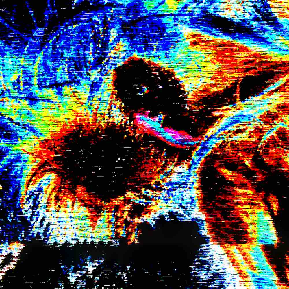 New album PROBABLY DEAD released 5th August 2022