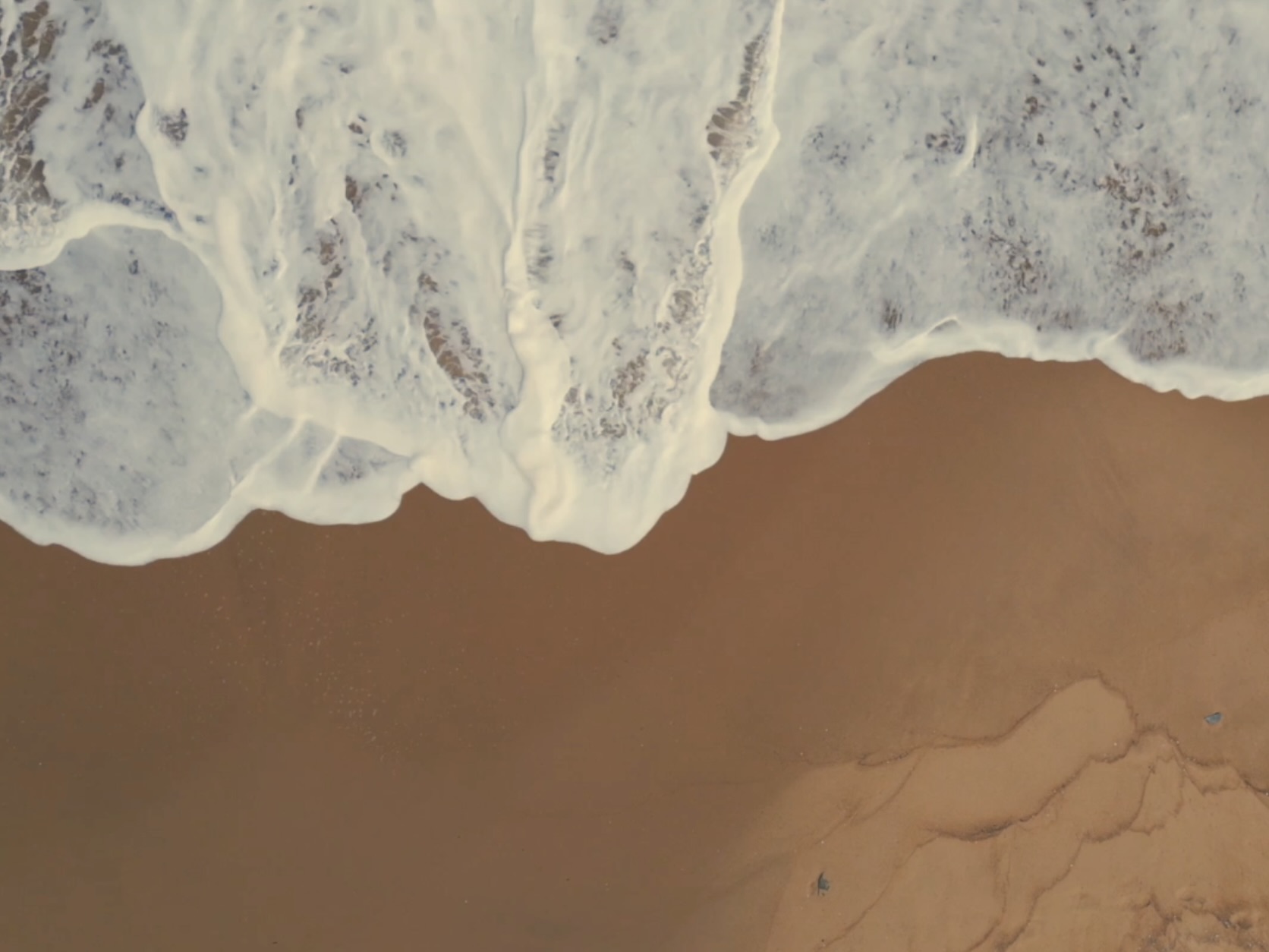 Exosomatic Memory Island is out now